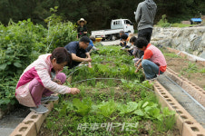 곡성군, 토종 씨앗으로 재배한 농산물로 건강 밥상 선보인다