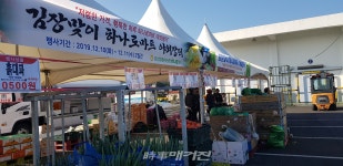 성산일출봉 농협 하나로마트 김장 맞이 할인 판매 성황리 마쳐
