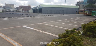 성산읍 고성리 일대 무료주차장, 호텔 이용 렌터카 차량들로 몸살