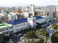 제주시, 2019년 연말 유공시민 및 공무원 표창수여식 개최