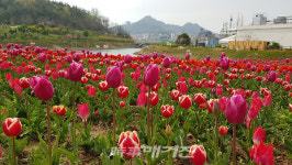 전설의 섬 삼학도, 꽃섬으로 다시 피어난다
