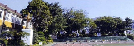 동남초등학교 아름다운 숲 수십년생 조경수 싹뚝