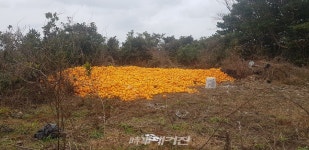 중산간, 농로 주변 등 쓰레기 무단 투기 여전