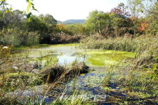 운곡습지와 원시림 속 고창군 명품 유스호스텔 탄생