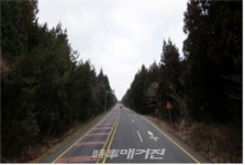 지방도1118호선(남조로) 도로구조개선사업 추진