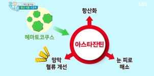 눈빛안과건강식품 | 안약 오남용, 망막에 '치명타'...눈에 도움 주는 식품은?