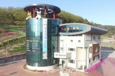 진도개 테마파크 진도 관광의 랜드마크로 자리잡다