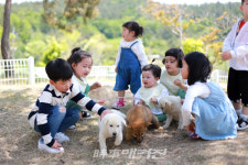 진도개 테마파크 진도 관광의 랜드마크로 자리잡다