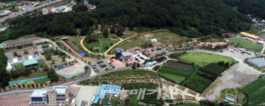 진도개 테마파크 진도 관광의 랜드마크로 자리잡다