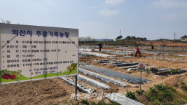 익산 주말가족농장, 코로나19 스트레스 해소로 인기
