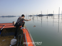 신안군, 건강한 어린낙지 부화로 갯벌 생산성 향상과 낙지자원 조성