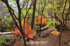 무주군, 1,000만 관광객 시대 연다!