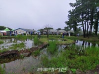 코로나로 지친 간호장교들, 제주 로캉스 여행으로 치유하다!