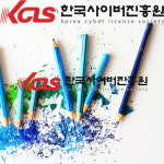 가족심리상담사, 병원코디네이터, 캘리그라피지도사 등 한국사이버진흥원 민간자격증 취득 인기