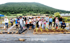 수눌음 마을정원, 꽃마을 금악리 만들기 변화 주도