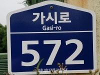 커피 맛이 살아있는 제주, 모드락 572 매일 커피 볶는집 탐방