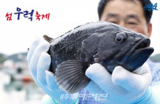 신안군, 코로나19 차단 『섬 우럭·불볼락 축제』 취소