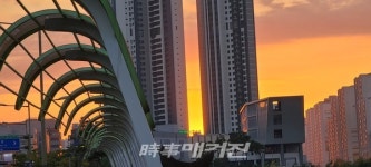 급변하는 환경 속, 전주혁신도시 기지제 천변에 핀 벚꽃 - 자연의 경고로 받아들여야