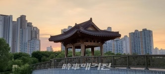 급변하는 환경 속, 전주혁신도시 기지제 천변에 핀 벚꽃 - 자연의 경고로 받아들여야
