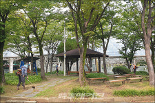 광주 서구, 추석맞이 밝고 쾌적한 도시환경 조성 공원녹지 환경정비