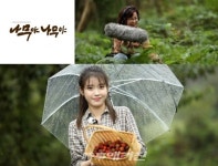 이선희 ×아이유 나무야 나무야...제주 비자나무 숲ㆍ 제주 곶자왈 조명