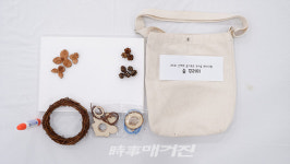 광주광역시 광산구, 비대면 시대 집에서 가족과 함께 즐기는 숲 체험