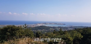 [제주올레길 포토⑦] 청정 제주 올레길에서 자연의 위로를 받는다