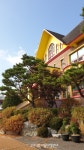 전주 호남유치원에 내려 온 어린아이들의 노랑가을