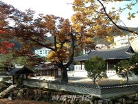 [월간 시사매거진] 순암 안정복과 강학당인 이택재