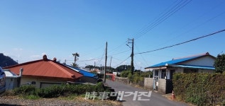 [제주올레길포토⑪] 만추의 가을, 제주를 걷는다