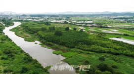 문화재청, 「담양 태목리 대나무 군락」천연기념물 되다