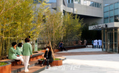 전북대병원 힐링 공간 바람 곁에 머무는 숲 조성