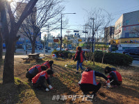 목포시 부흥동, 둥근공원 꽃무릇 식재 및 마스크쓰기 캠페인 전개