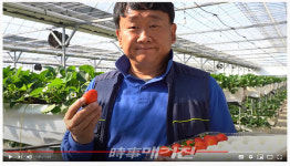 장성군, 전라남도 특산품 소개 콘텐츠 공모전 1위 차지!