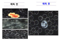 치료뿐만이 아닌 치유(治癒)를 하는 한의사