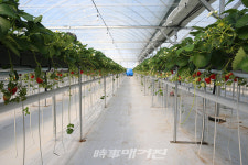 신안군, 청년농업인 경영실습 임대농장 개소