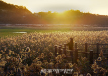 여수시, 코로나19 위기 속에서도  관광객 872만 명 다녀가