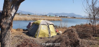 [단독] 강서구 조만강 수개월째 외면한 단속, 이제 부산시가 앞장서야