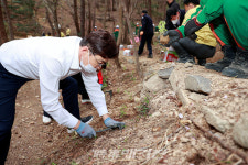 보성군, 오봉산 해평호수 십리길 공직자 힘 모아 감국 식재