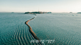 진도군 신비의 바닷길 축제, 올해 온라인 축제로 개최