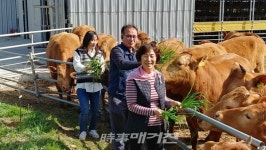 해남 만희농장, 동물복지 한우농장 전국 1호