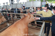 울산 축산농가 정보통신기술(ICT) 융복합 등 시설 개선... 143억 원 지원