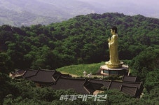 부처님 오신날 떠나는광양사찰여행