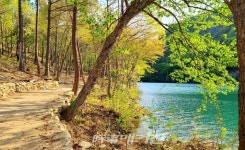 보성군, 천만 그루 도시숲에 주민 위한 보성 명품길 만든다
