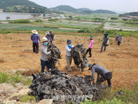 진도군, 외국인 한시 계절근로자 도입…일손 부족 농촌 숨통