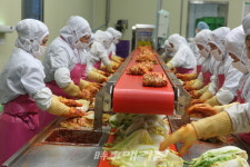 전남도 국산김치 사용 표시제 전국 확산
