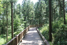 보성군, 제암산자연휴양림 비대면 안심 관광지 선정