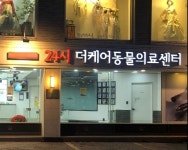 24시더케어동물의료센터, 반려견 피서법 공개