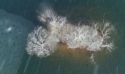 전라북도산림박물관, 여름 특별기획 산은 높고, 물은 깊네展 개최