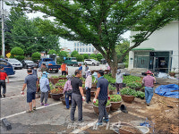 담양군 대전면, 쾌적한 환경 조성 위해 가로화단 조성